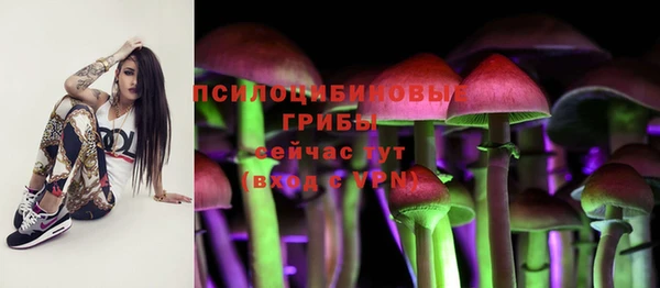 стаф Абаза