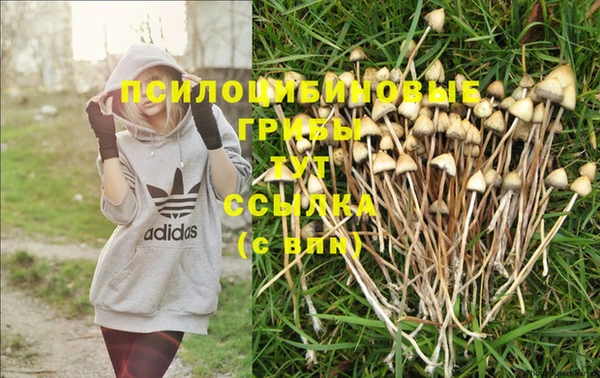 МДМА Михайловка