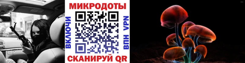Псилоцибиновые грибы Psilocybe  что такое наркотик  Ялта 